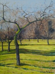 Mezi jabloněmi  65x50